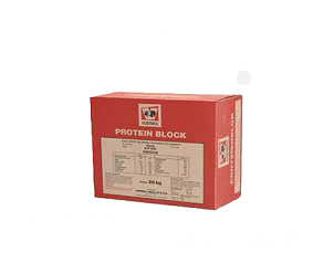 Protein Block