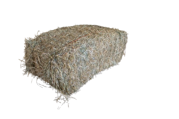 Lucern Bale