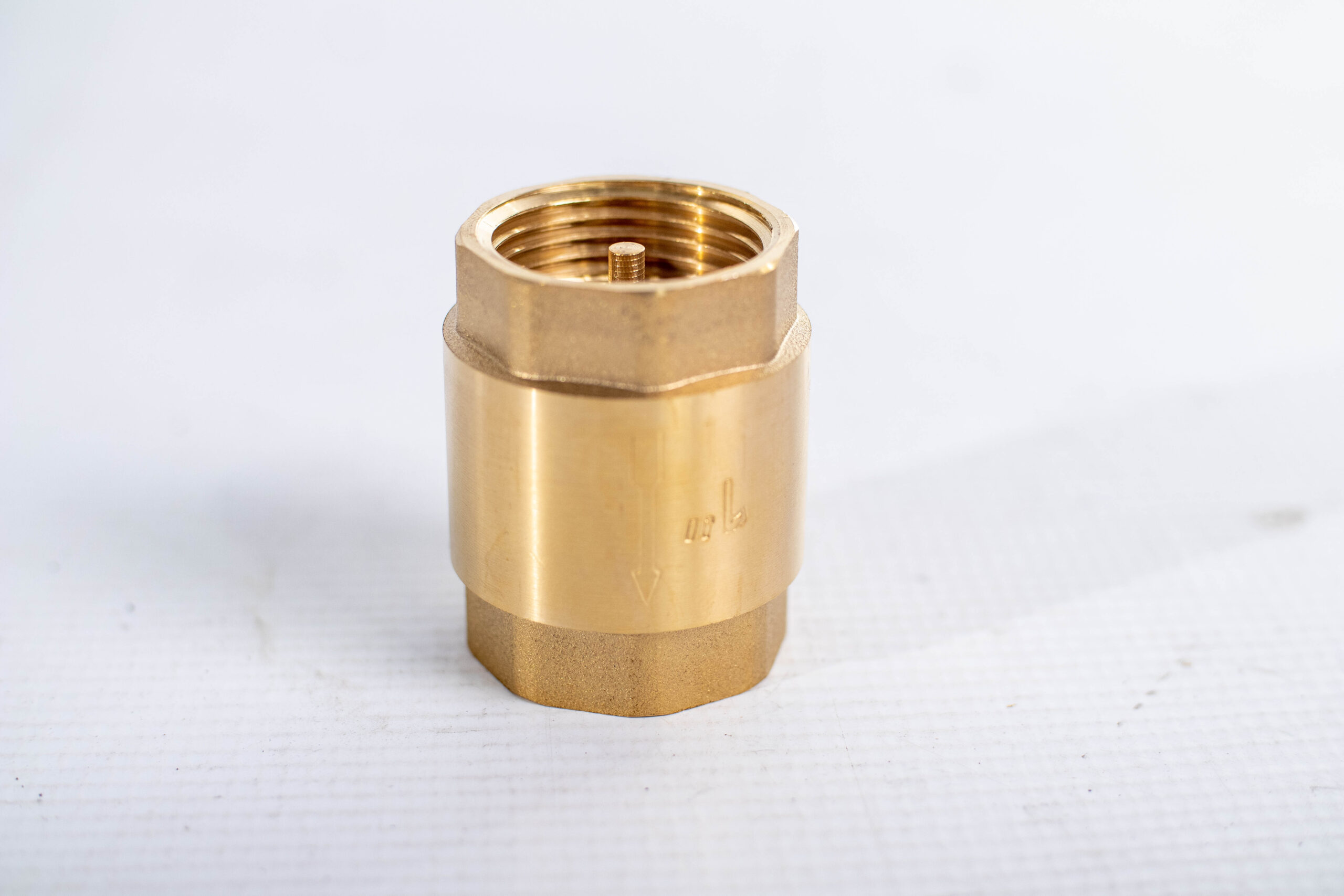 Brass Spring Loaded Chek Valve 25Mm